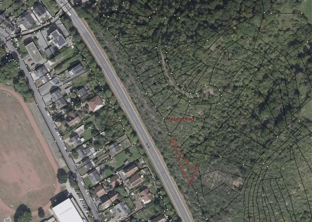 Lageskizze - Vertragslos genutzte Wald- und Unlandfläche oberhalb der B 42 