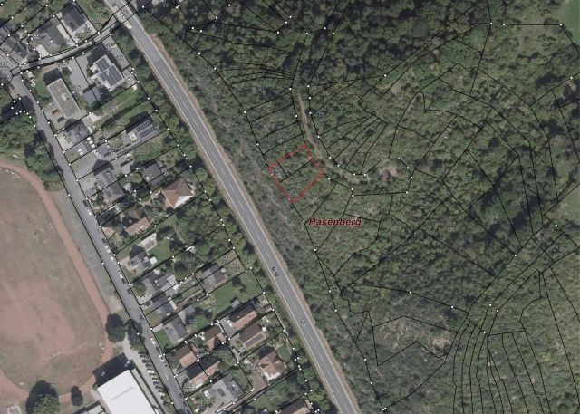 Lageskizze - Vertragslos genutzte Wald- und Unlandfläche oberhalb der B 42