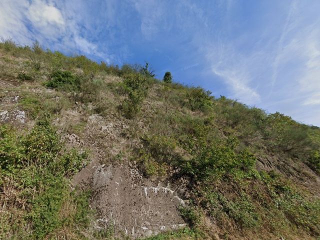 Blick auf den Verkaufsgegenstand - Vertragslos genutzte Wald- und Unlandfläche oberhalb der B 42