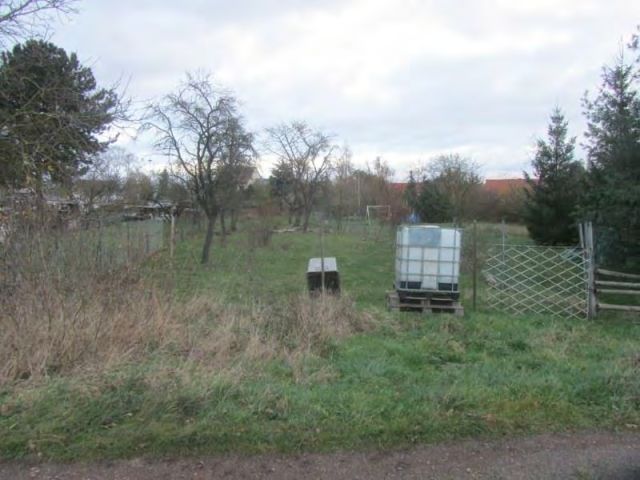 Blick auf den Garten und Umgebung - Ruinöses Einfamilienhaus mit diversen ehemaligen Nebengebäuden (u. a. Stall, Waschhaus, Schuppen) *zwischen Leipzig & Magdeburg*