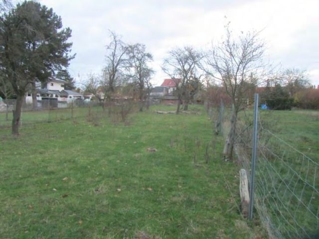 Blick auf den Garten und Umgebung - Ruinöses Einfamilienhaus mit diversen ehemaligen Nebengebäuden (u. a. Stall, Waschhaus, Schuppen) *zwischen Leipzig & Magdeburg*