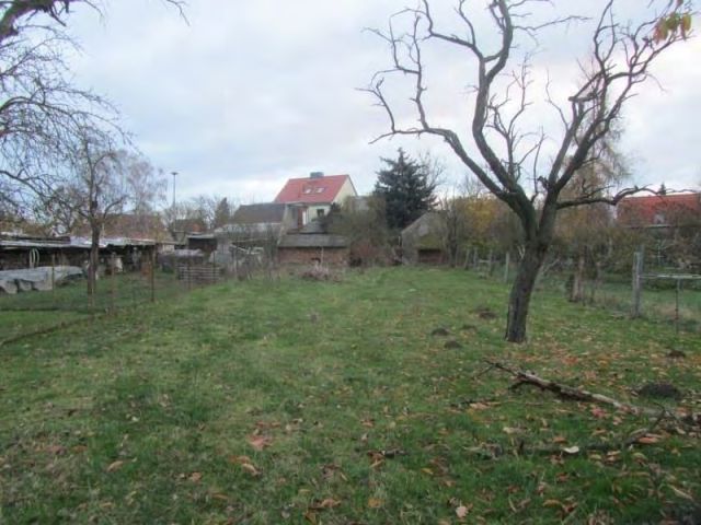 Verkaufsgegenstand und Umgebung - Ruinöses Einfamilienhaus mit diversen ehemaligen Nebengebäuden (u. a. Stall, Waschhaus, Schuppen) *zwischen Leipzig & Magdeburg*