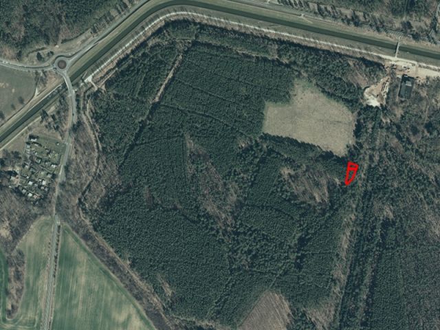 Umgebungsskizze - Waldfläche in Geierswalde im Lausitzer Seenland