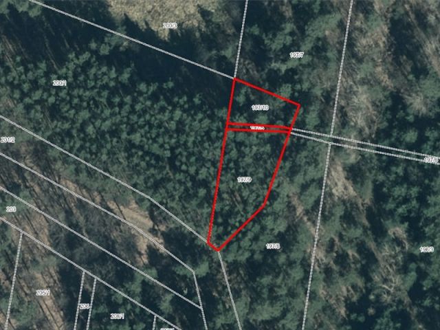 Lageskizze - Waldfläche in Geierswalde im Lausitzer Seenland