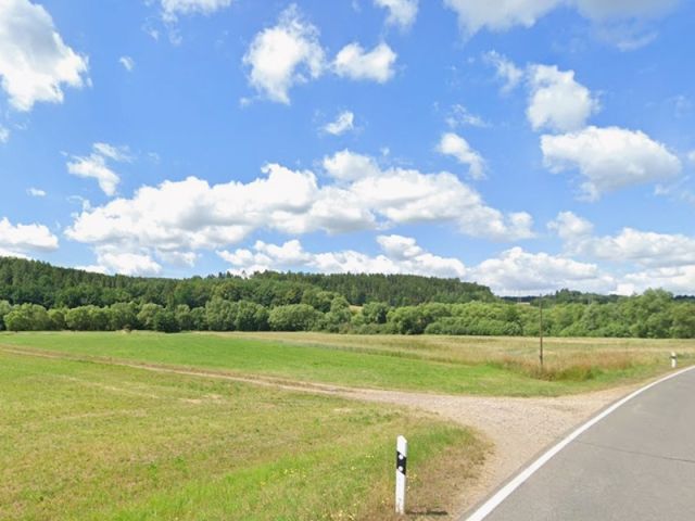 Blick auf Verkaufsfläche und Umgebung - Grünlandfläche in Glauchau