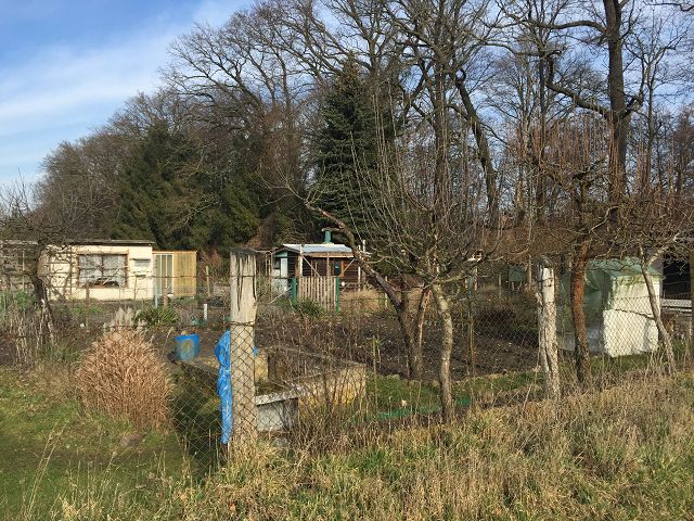  Verpachtete Kleingartenfläche in Neuhardenberg zwischen Wohnbebauung und Schlosspark