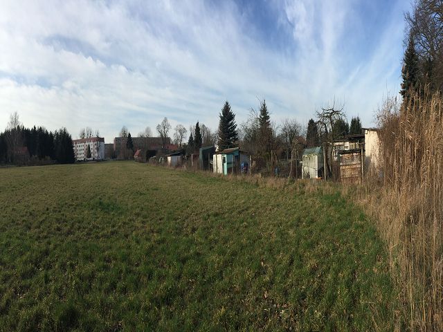 Blick auf Verkaufsfläche und Umgebung - Aufnahme aus 2020 -  Verpachtete Kleingartenfläche in Neuhardenberg zwischen Wohnbebauung und Schlosspark