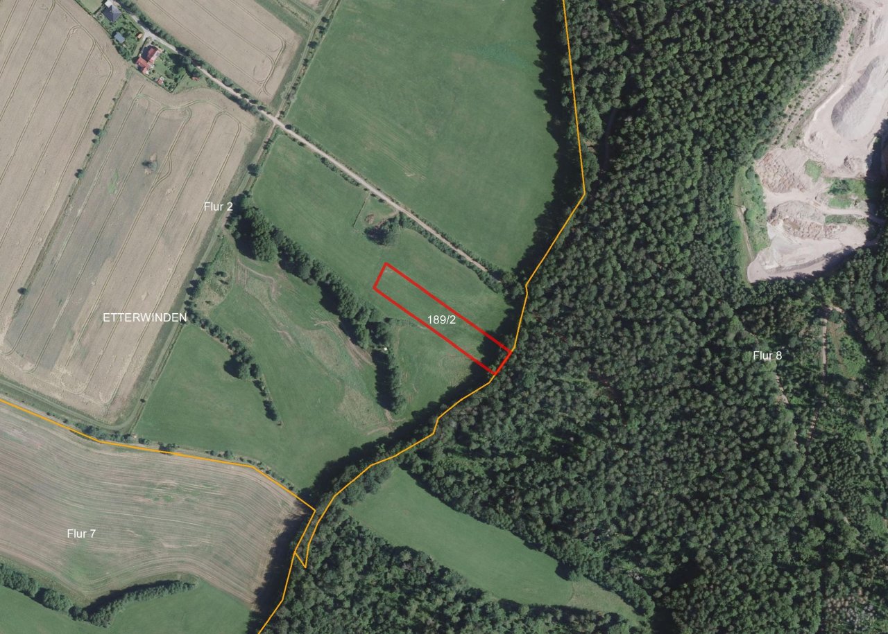 2/8 Miteigentumsanteil an einer Grünfläche **im Naturpark Thüringer Wald**
