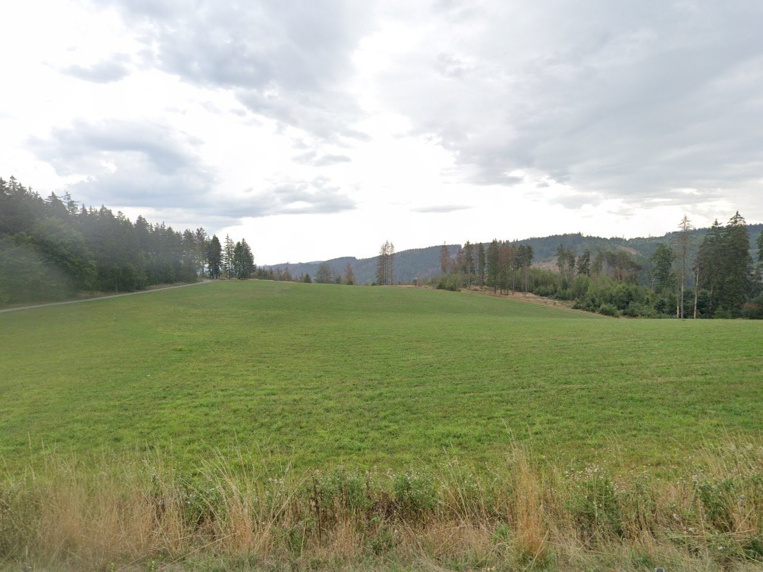 Pachtfreies Grünland im Naturpark ´Thüringer Wald´