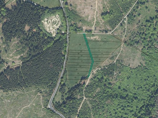 Lageskizze - Pachtfreies Grünland im Naturpark ´Thüringer Wald´