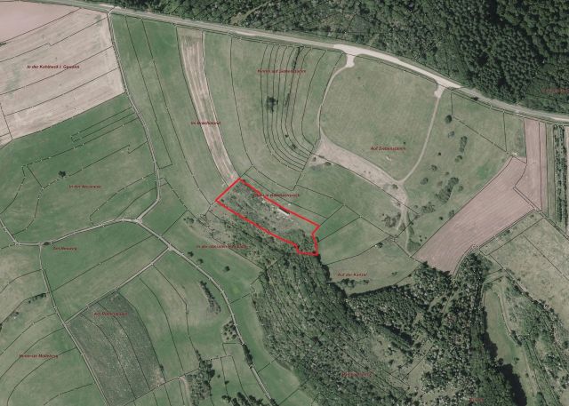 Umgebungsskizze - Naturbelassene Fläche im Landkreis Kusel in Rheinland-Pfalz