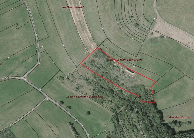 Lageskizze - Naturbelassene Fläche im Landkreis Kusel in Rheinland-Pfalz