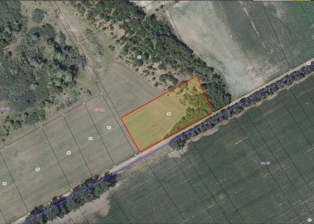 Lageskizze mit Luftbildunterlegung - Flurstück 50 - Vertragslos genutzte Landwirtschaftsfläche (etwa 4.980 m²) & ca. 2,3 Hektar vertragsfreies Grundstück nördlich von Halle (Saale)