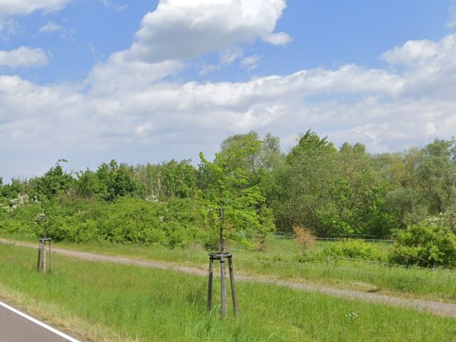 Blick auf die Flurstücke 71/2, 72/2, 73/2, 74/2 & 75/2 und Umgebung - Vertragslos genutzte Landwirtschaftsfläche (etwa 4.980 m²) & ca. 2,3 Hektar vertragsfreies Grundstück nördlich von Halle (Saale)