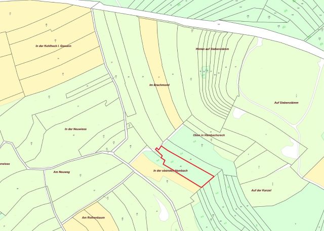 Umgebungsskizze - Naturbelassene, teilweise mit Büschen bewachsene Fläche im Landkreis Kusel in Rheinland-Pfalz