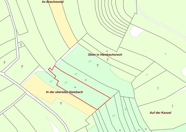 Lageskizze - Naturbelassene, teilweise mit Büschen bewachsene Fläche im Landkreis Kusel in Rheinland-Pfalz
