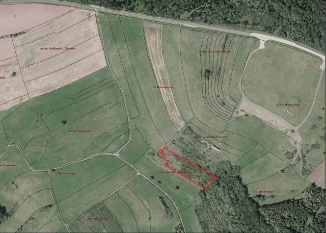 Umgebungsskizze - Naturbelassene, teilweise mit Büschen bewachsene Fläche im Landkreis Kusel in Rheinland-Pfalz