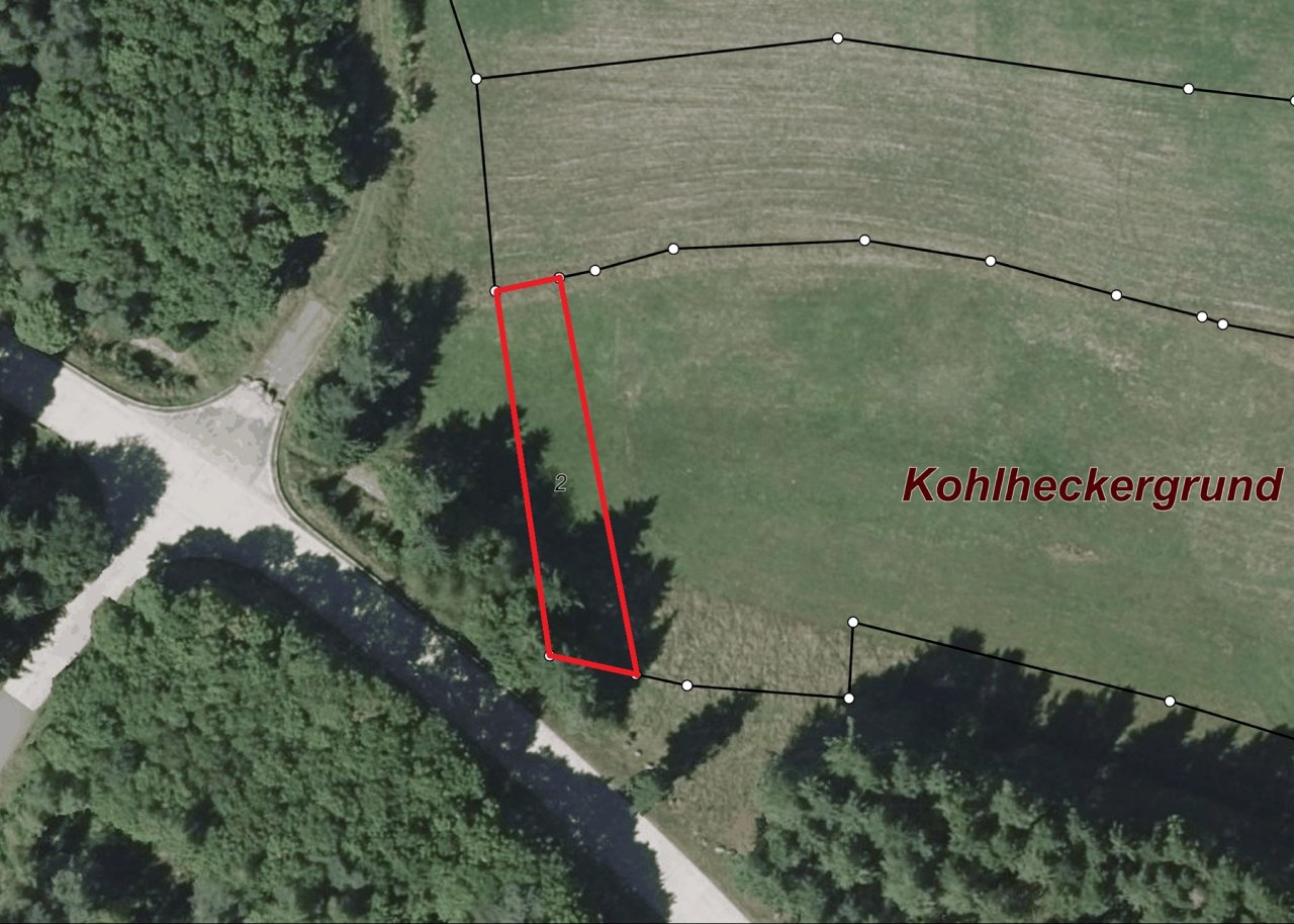 Grünlandfläche im Landkreis Kusel in Rheinland-Pfalz