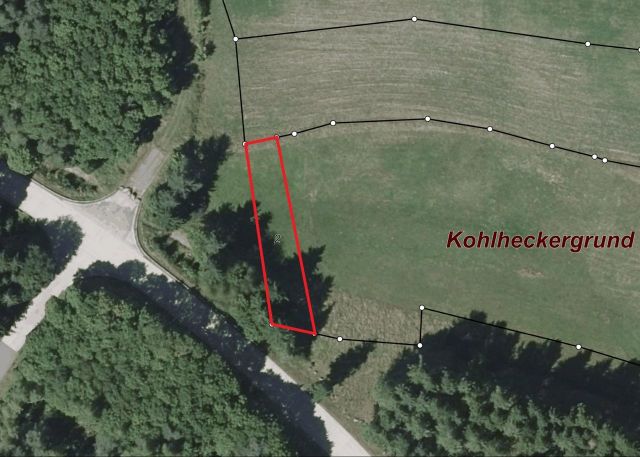 Lageskizze - Grünlandfläche im Landkreis Kusel in Rheinland-Pfalz