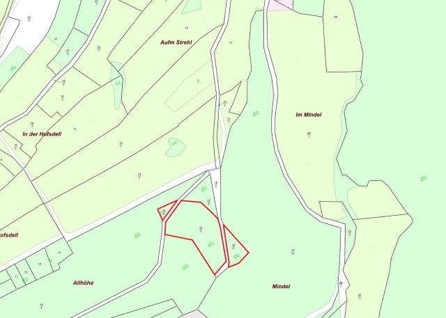 Umgebungsskizze - Mischwaldfläche im Landkreis Kusel in Rheinland-Pfalz