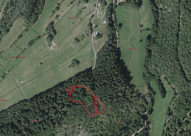 Umgebungsskizze - Mischwaldfläche im Landkreis Kusel in Rheinland-Pfalz