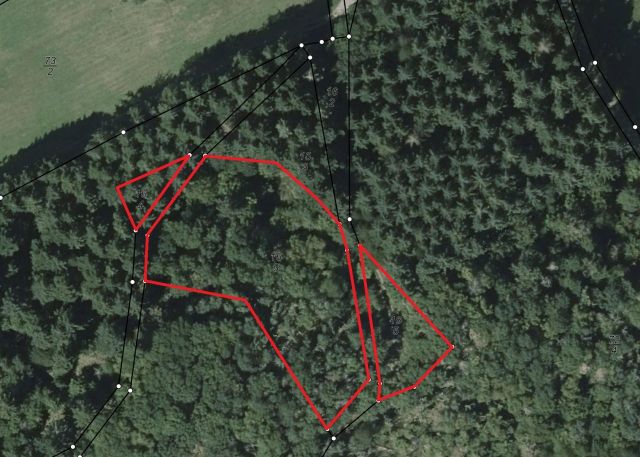 Lageskizze - Mischwaldfläche im Landkreis Kusel in Rheinland-Pfalz