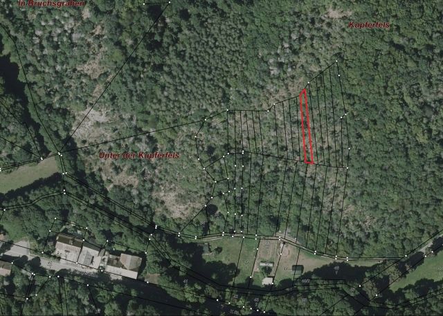 Umgebungsskizze - Bewaldeter Streifen oberhalb von Unterjeckenbach im Landkreis Kusel in Rheinland-Pfalz