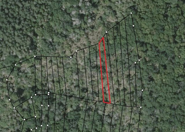 Lageskizze - Bewaldeter Streifen oberhalb von Unterjeckenbach im Landkreis Kusel in Rheinland-Pfalz