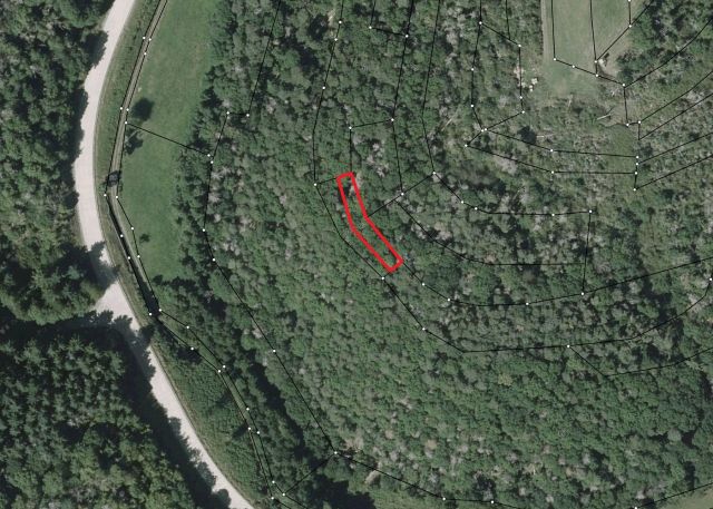 Umgebungsskizze - Waldfläche in hängiger Lage im Landkreis Kusel in Rheinland-Pfalz