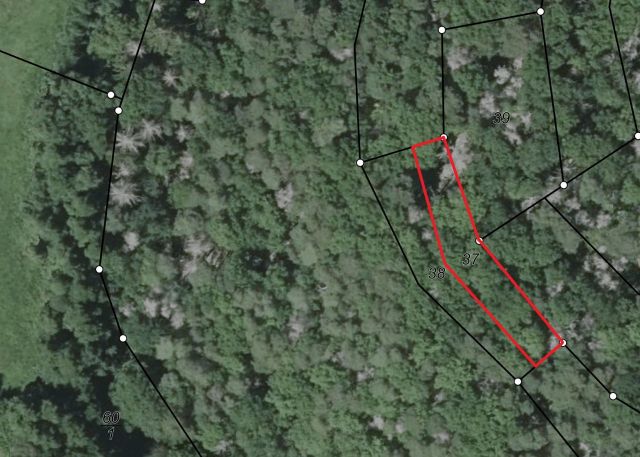 Lageskizze - Waldfläche in hängiger Lage im Landkreis Kusel in Rheinland-Pfalz