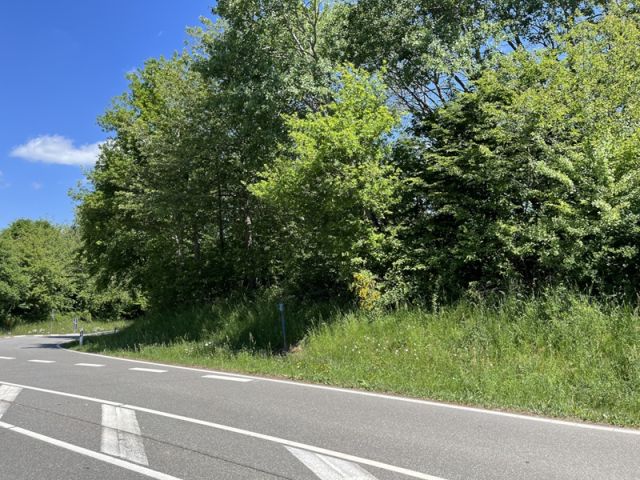 Blick auf Verkaufsfläche und Umgebung aus Südwest - Gehölzfläche in Oberalben im Nordpfälzer Bergland