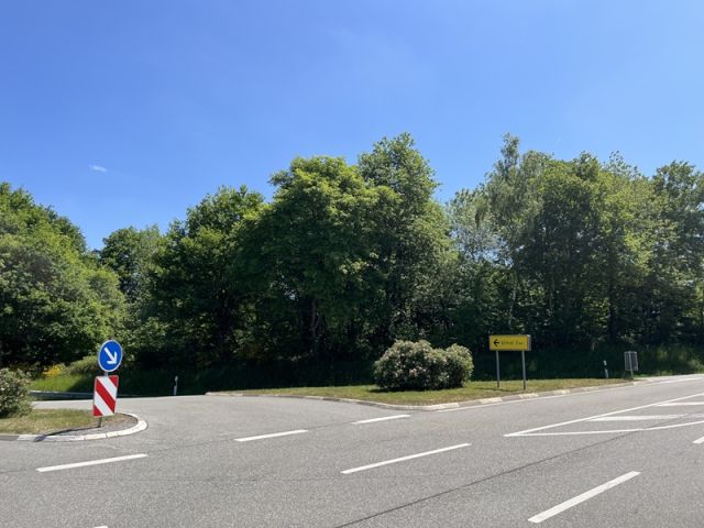 Blick auf Verkaufsfläche und Umgebung aus Nordwest - Gehölzfläche in Oberalben im Nordpfälzer Bergland