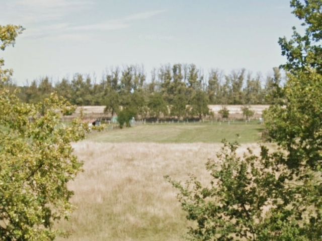 Blick von der Lanzer Chaussee auf die Umgebung - Teils bestockte Landwirtschafts-/ Grünlandfläche in der Prignitz
