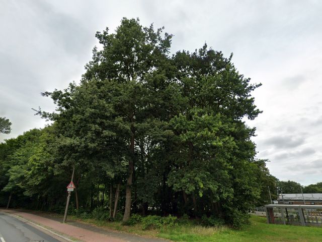 Blick auf die Verkaufsfläche und Umgebung - Innerstädtische Waldflächen südlich des Bahnhofes ´Klinikum Bremen-Nord/ Beckedorf´ **unweit der Bremer Stadtgrenze**