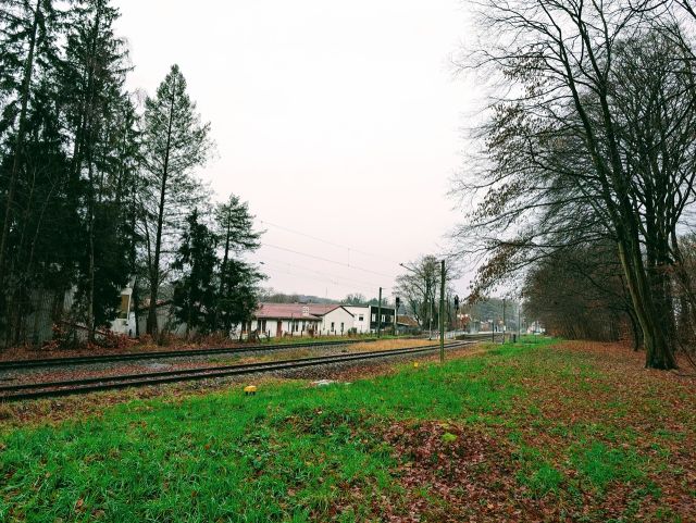 Blick vom Grundstück in die Umgebung - Innerstädtische Waldflächen südlich des Bahnhofes ´Klinikum Bremen-Nord/ Beckedorf´ **unweit der Bremer Stadtgrenze**
