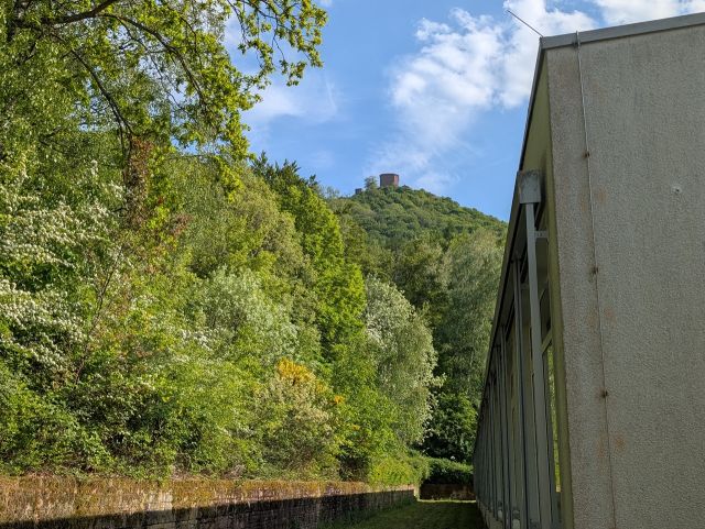 Verkaufsfläche links und Umgebung - Vertragsfreie Waldfläche direkt an der Berufsbildenden Schule Südliche Weinstraße ++etwa 27 km von Kaiserslautern entfernt++