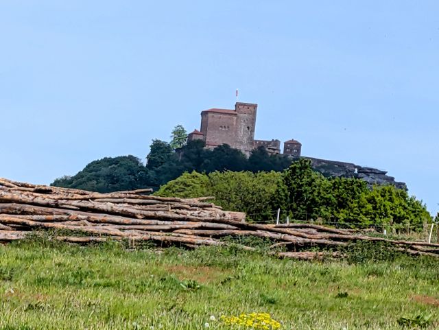 Blick vom Grundstück auf die Burg Trifels - Vertragsfreie Waldfläche mit Blick auf die Burg Trifels ++ etwa 27 km von Kaiserslautern entfernt++