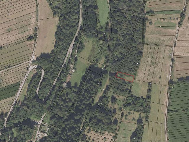 Lageskizze mit Umgebung und Luftbildunterlegung - Grün-/ Landwirtschaftsfläche **teilweise vertragslose Nutzung als Weidefläche**