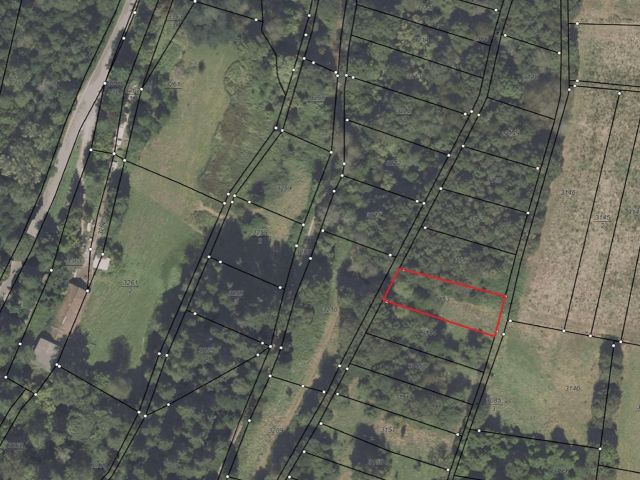 Lageskizze mit Luftbildunterlegung - Grün-/ Landwirtschaftsfläche **teilweise vertragslose Nutzung als Weidefläche**