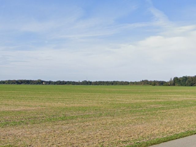 Blick von der B190 Richtung Verkaufsflächen - Vertragsfreie Waldfläche (etwa 3.986 m²) und vertragslos genutztes Grundstück (etwa 488 m²)