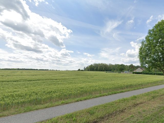 Blick von der B190 Richtung Verkaufsflächen - Vertragsfreie Waldfläche (etwa 3.986 m²) und vertragslos genutztes Grundstück (etwa 488 m²)