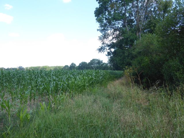Blick auf die Verkaufsfläche und Umgebung - Verpachtete Landwirtschaftsfläche mit einer Grundstücksgröße von 4.885 m², lt. Grundbuchangabe ++vor den Toren Magdeburgs++