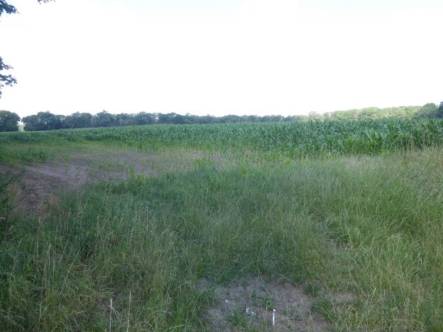 Blick auf die Verkaufsfläche und Umgebung - Verpachtete Landwirtschaftsfläche mit einer Grundstücksgröße von 4.885 m², lt. Grundbuchangabe ++vor den Toren Magdeburgs++