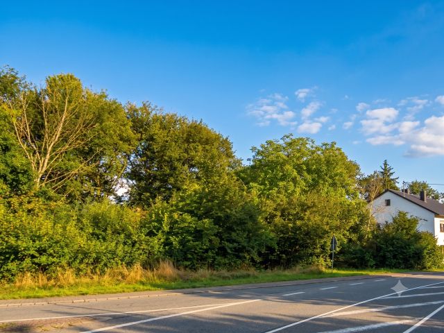Blick auf die Verkaufsfläche und Umgebung - Unbebautes Grundstück neben Wohnbebauung **lt. Flächennutzungsplan Wohnbaufläche - etwa 15 km von Kaiserslautern entfernt**