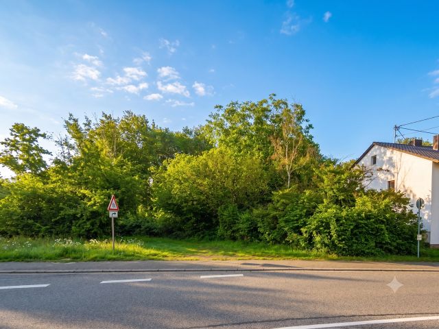 Blick auf die Verkaufsfläche und Umgebung - Unbebautes Grundstück neben Wohnbebauung **lt. Flächennutzungsplan Wohnbaufläche - etwa 15 km von Kaiserslautern entfernt**