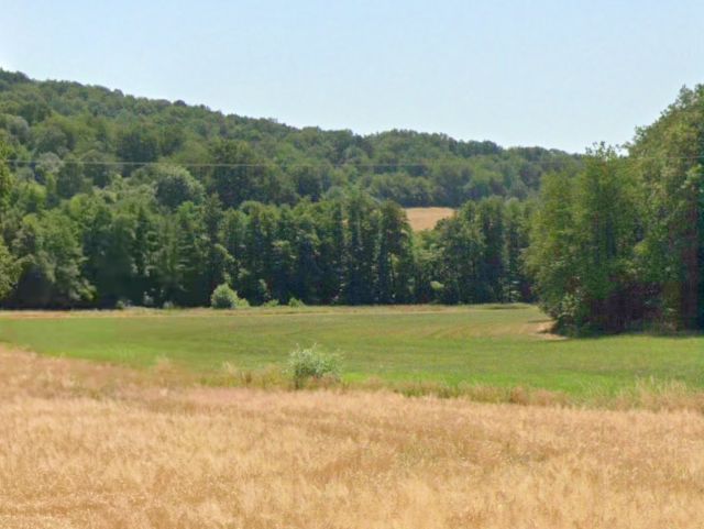 Blick von der B41 Richtung Verkaufsfläche und Umgebung - Vertragsfreie Grünfläche nahe der B41 **unweit der ´Liebenburg´ & vom Premiumwanderweg ´Schmugglerpfad´ entfernt**
