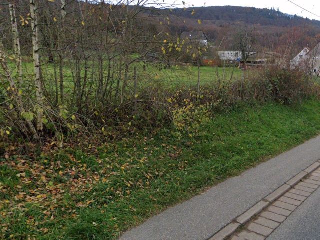 Blick auf das Flurstück 521/5 und Umgebung - Straßenbegleitende Grundstücke an der B41 **teilweise vertraglose Nutzung**