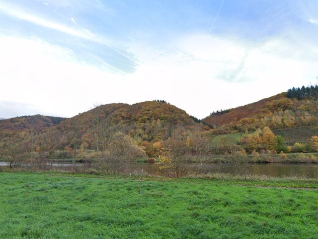 Blick von der B49 Richtung Verkaufsfläche und Umgebung - Waldfläche - ehemaliger Weinberg - mit Blick auf die Mosel in der Weinbaulage   ́Graf Beyßel Herrenberg´