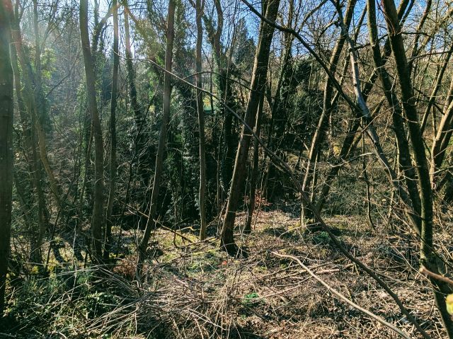 Blick auf die Verkaufsfläche und Umgebung - Fläche für Freizeitgärten: Ufergrundstück am Heiligenbach an der Wohnbebauung in Stuttgart-Heumaden