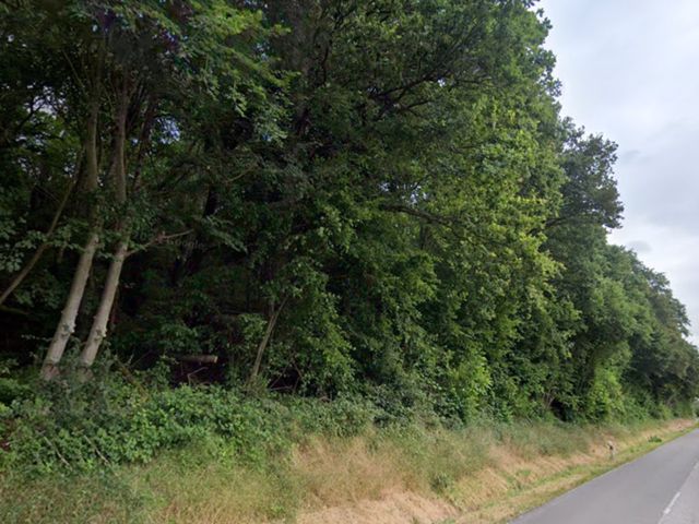 Blick auf die Flurstücke 1204/1  - Teile der ehemaligen Westwallbunkeranlage  **etwa 30 km von Saarbrücken und der französischen Landesgrenze entfernt**